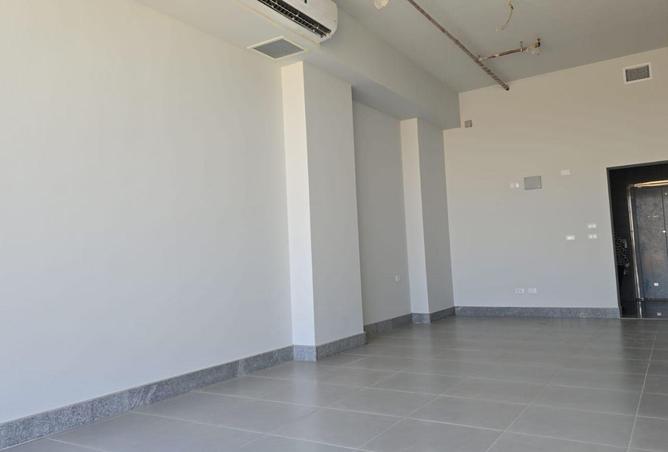 68002173 - صورة العقار 3