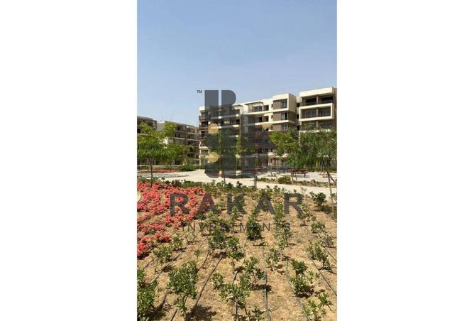 8580716 - Property Image 2