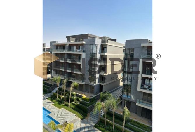 8597992 - Property Image 3