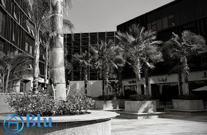 Office Space - 4 Bedrooms - 2 Bathrooms for sale in Lake View - 5th Settlement Compounds - The 5th Settlement - New Cairo City - Cairo