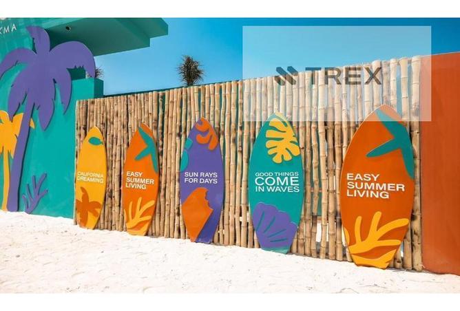 56500253 - صورة العقار 3