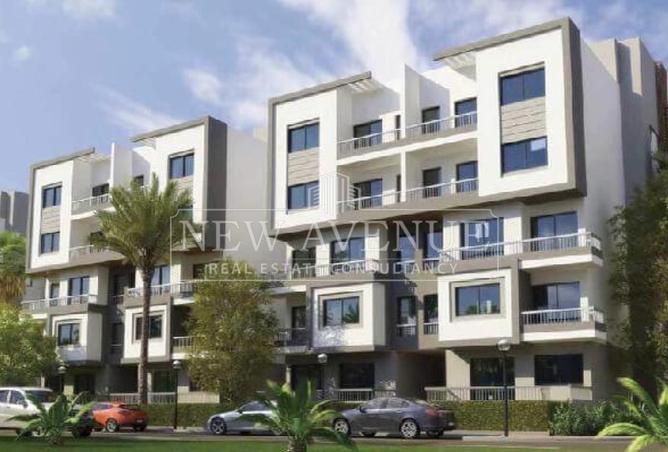 81311329 - Property Image 3