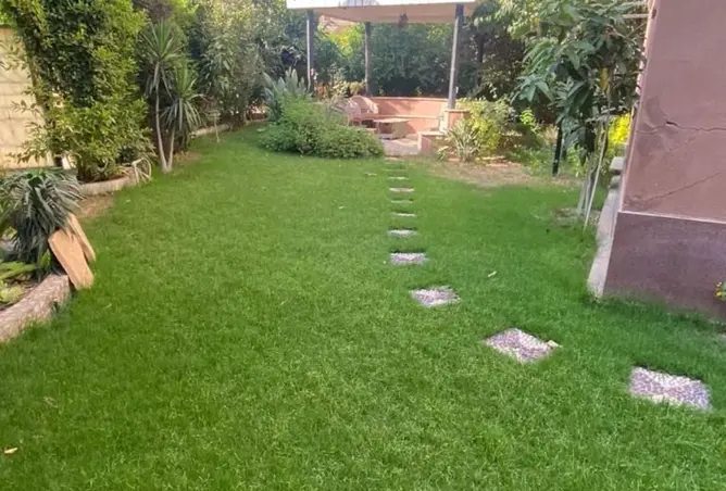 98007552 - صورة العقار 3