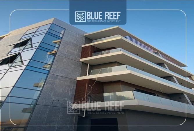 8537619 - صورة العقار 3