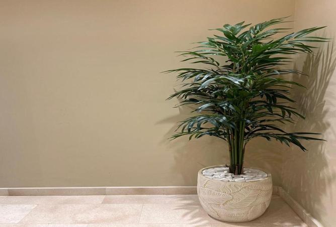 59752748 - Property Image 2