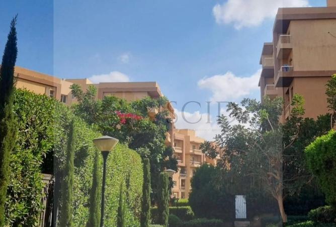73234805 - صورة العقار 3