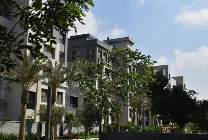 65917441 - Property Main Image