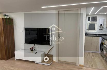 Apartment - 1 - 1 for rent in Al Gezira El Wosta St. (Yousef Kamel) - Zamalek - Cairo Apartment - 1 - 1 for rent in Al Gezira El Wosta St. (Yousef Kamel) - Zamalek - Cairo