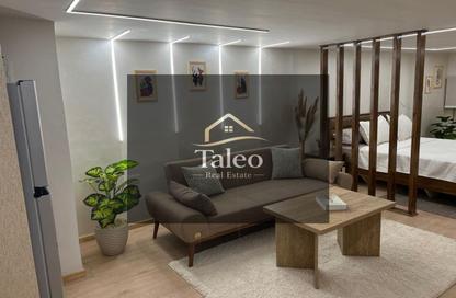 Apartment - 1 Bedroom - 1 Bathroom for rent in Al Gezira El Wosta St. (Yousef Kamel) - Zamalek - Cairo