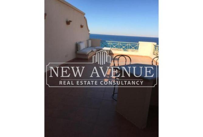 53722878 - Property Image 2