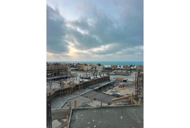 83987493 - Property Image 3