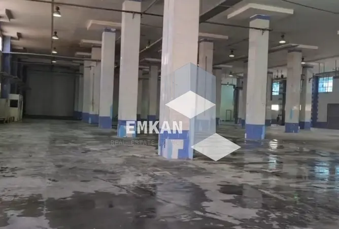 113523022 - صورة العقار 3