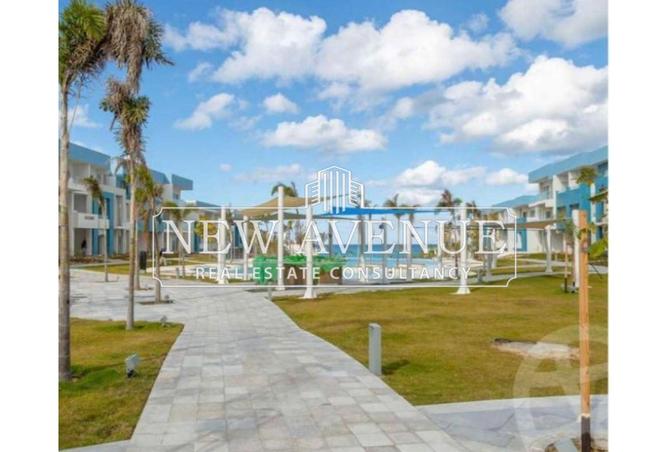 57743301 - صورة العقار 2