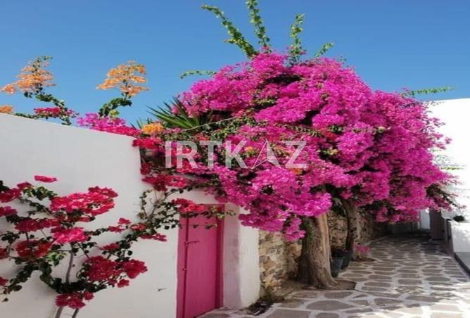 69574553 - صورة العقار 2