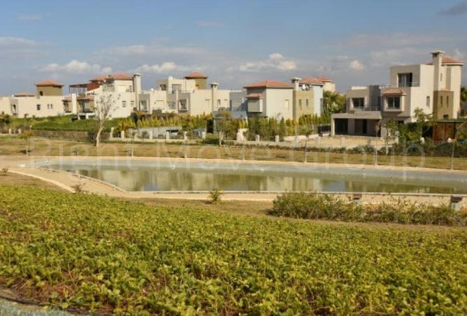 61687648 - Property Image 3