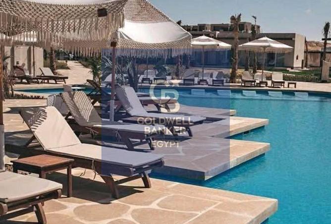 65918390 - Property Image 3