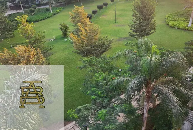 116224004 - صورة العقار 3