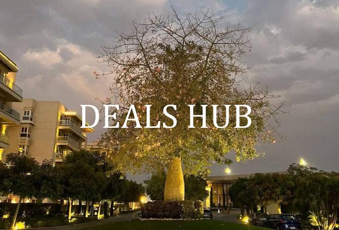 8512645 - Property Image 3