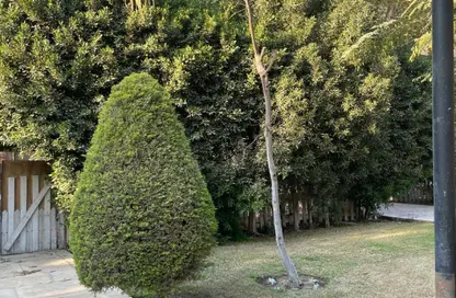 Apartment - 3 Bedrooms - 3 Bathrooms for rent in Al Rehab - New Cairo City - Cairo