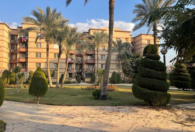 54507807 - Property Image 2