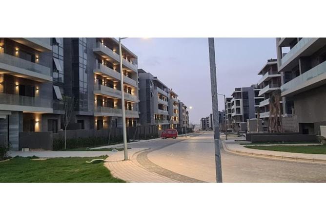 59460805 - Property Image 3