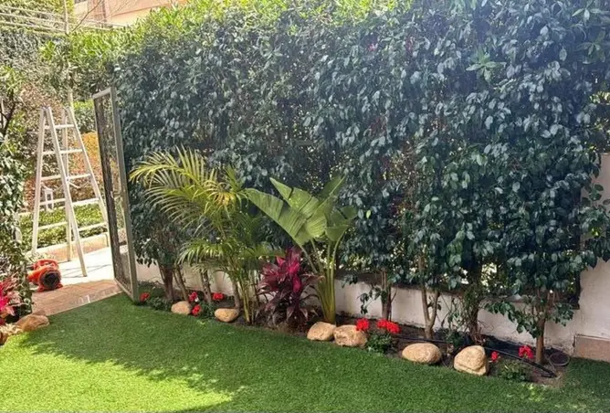 118293282 - صورة العقار 2