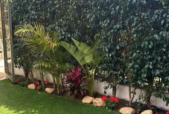 118293282 - صورة العقار 3