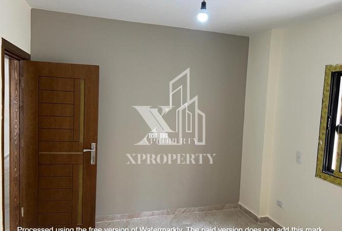 56003332 - Property Image 3
