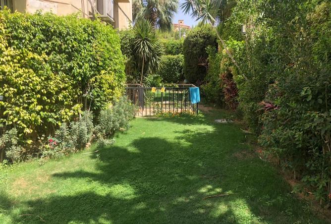 95767031 - صورة العقار 3