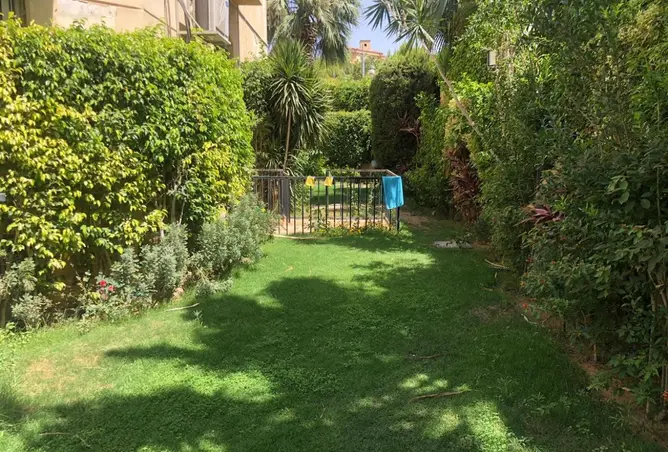 95767031 - Property Image 3