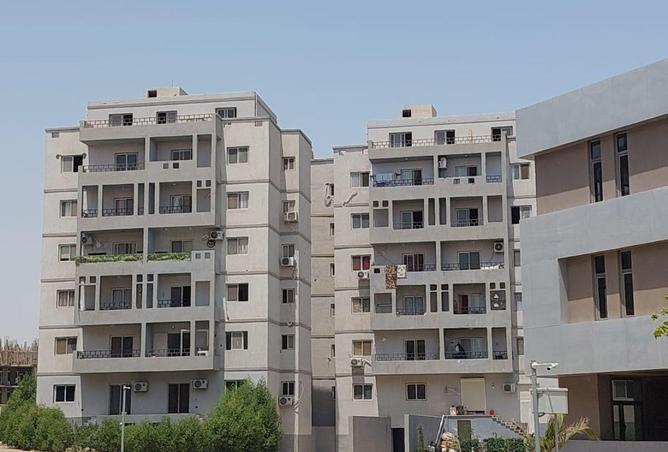 71910488 - Property Image 2