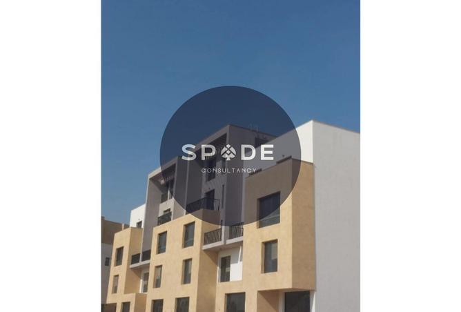 8689641 - Property Image 2