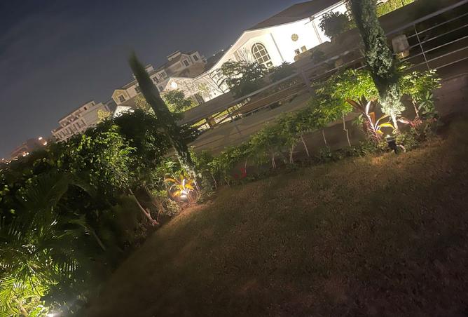 103181033 - Property Image 3