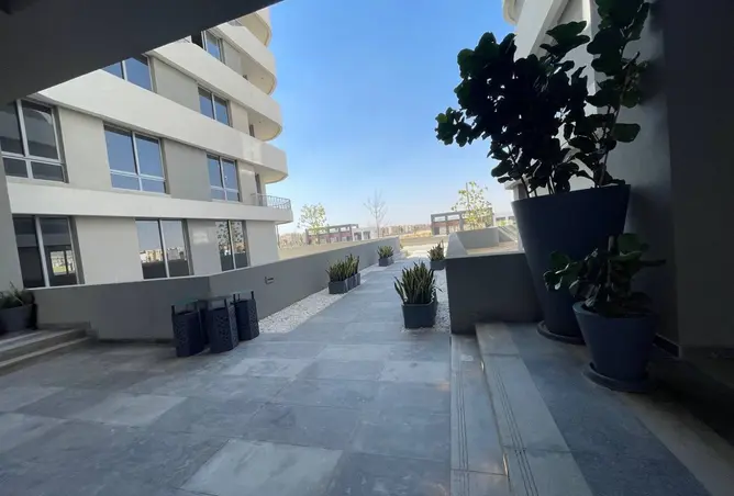 111317652 - Property Image 3