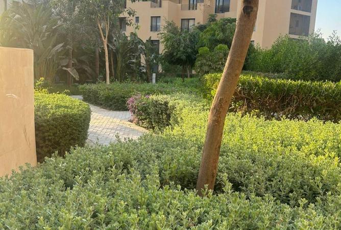 69838971 - صورة العقار 3