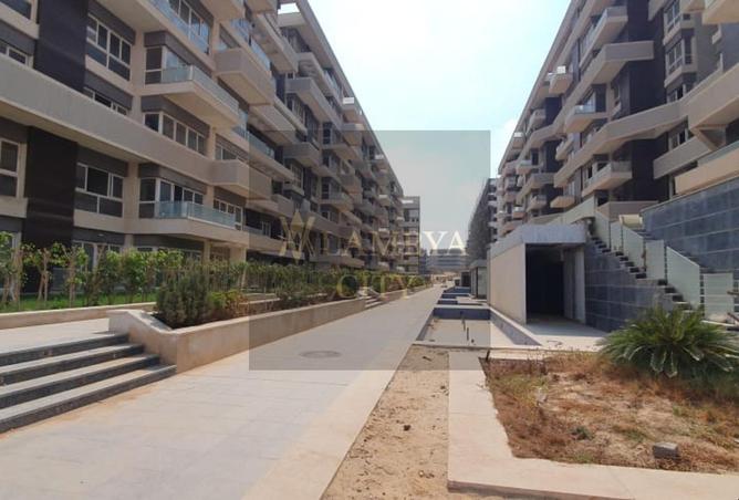 8607285 - Property Image 3