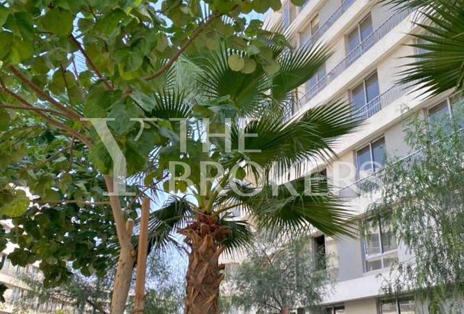 8650376 - Property Image 2