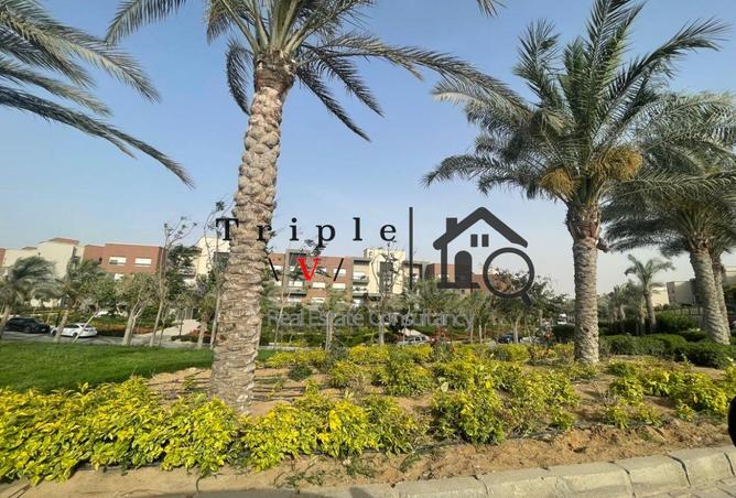 62651906 - صورة العقار 3