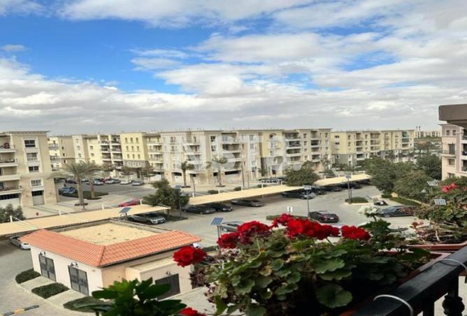 8473774 - صورة العقار 3