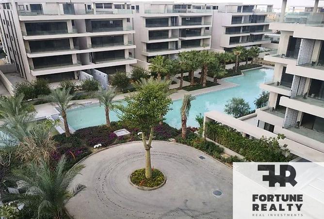 8539086 - Property Image 3