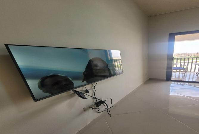 56253837 - Property Image 2