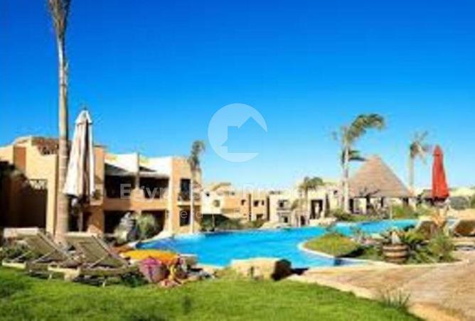 64635962 - صورة العقار 3