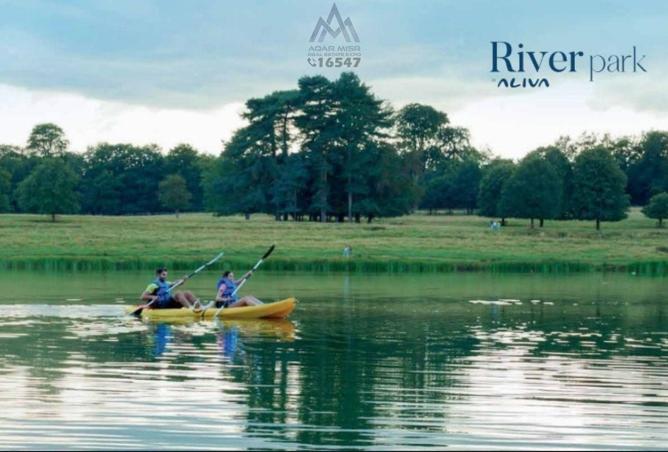 56995771 - صورة العقار 2