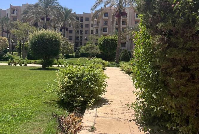 68531945 - Property Image 3