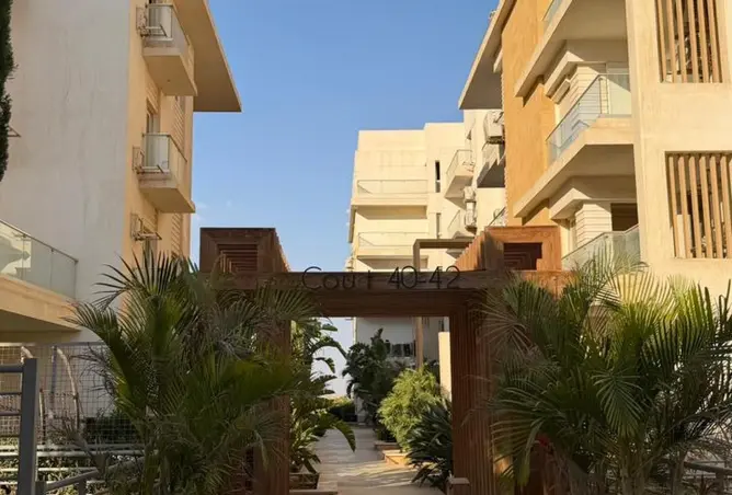 113251514 - صورة العقار 3