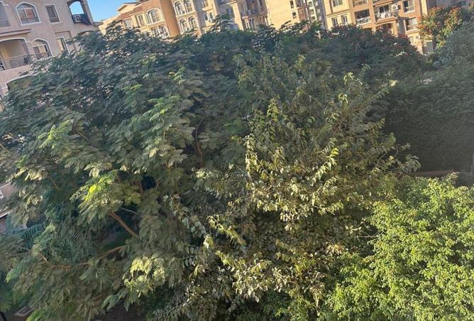 55008645 - صورة العقار 2