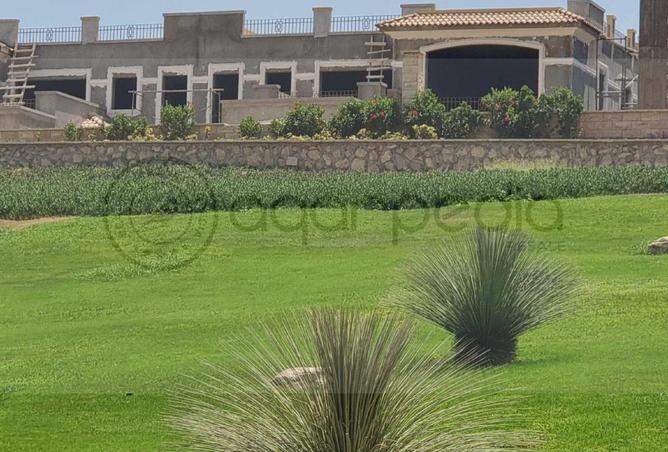81309918 - صورة العقار 2