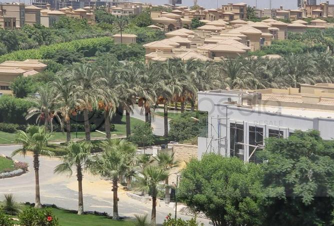 81309918 - صورة العقار 3