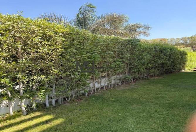 106805858 - Property Image 3