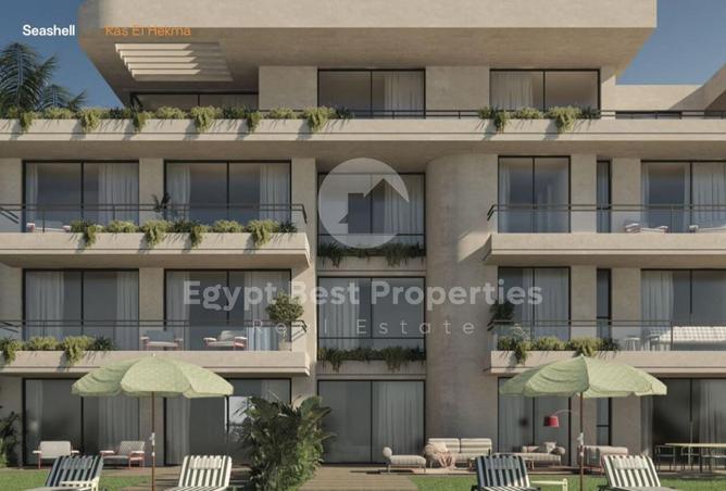 63146728 - Property Image 2